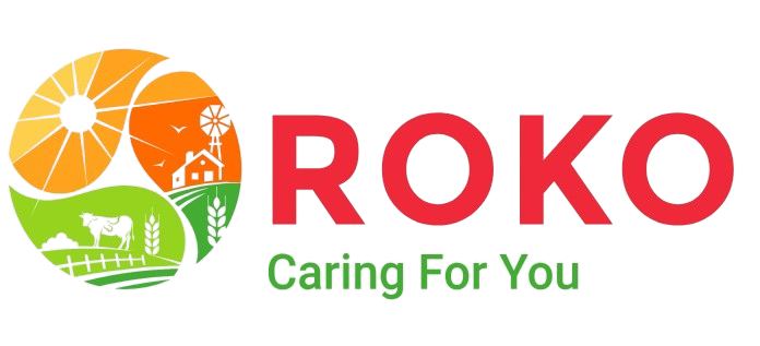 ROKO Logo